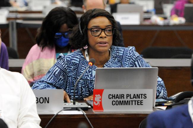 Aurélie Flore Koumba Pambo, Plants Committee Chair
