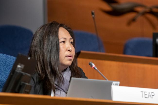 Bella A. Maranion, Co-Chair, TEAP