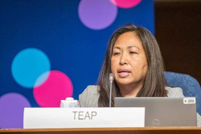 Bella Maranion, TEAP Co-Chair