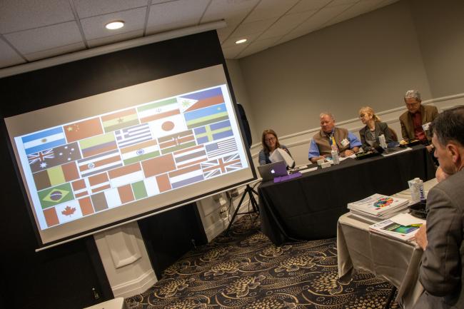 Flags of book launch