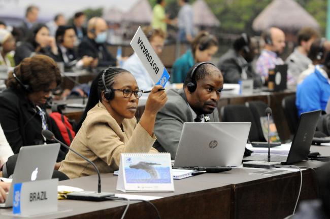 Botswana requests the floor