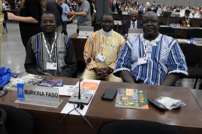 The delegation from Burkina Faso