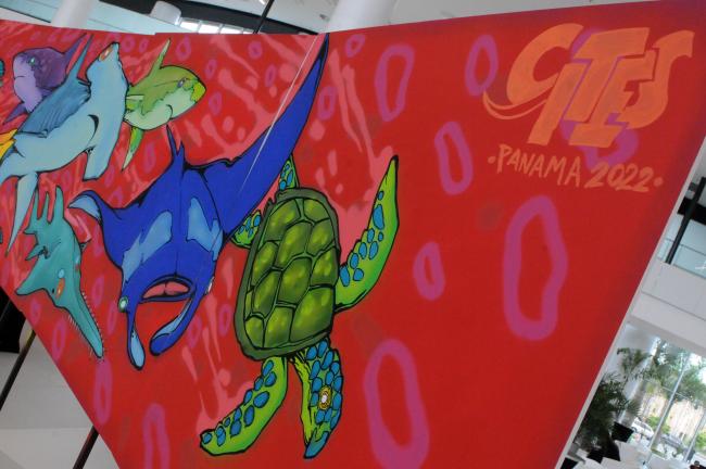 CITES banner