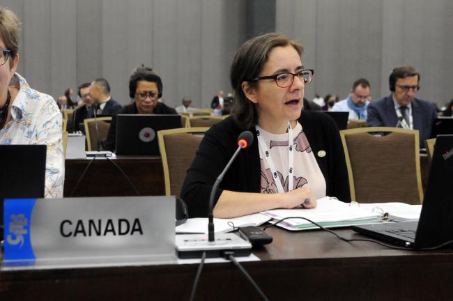 Carolina Cáceres, Canada