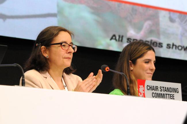 Carolina Cáceres, SC Chair