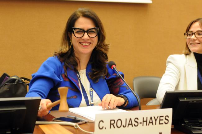 Carolina Rojas-Hayes, International Extractives and Energy Consultant