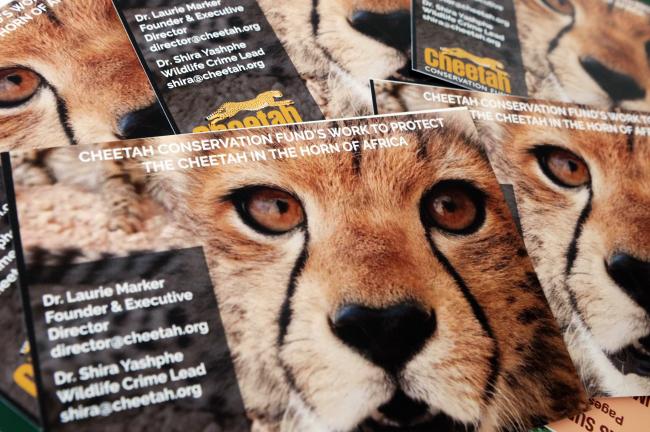 Cheetah Conservation Fund publication
