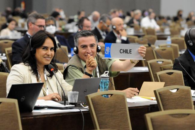 Chile requests the floor