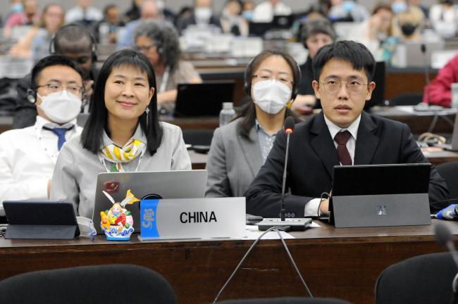 Chinese delegates