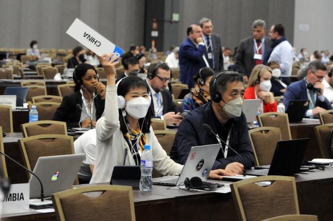 Chinese delegates