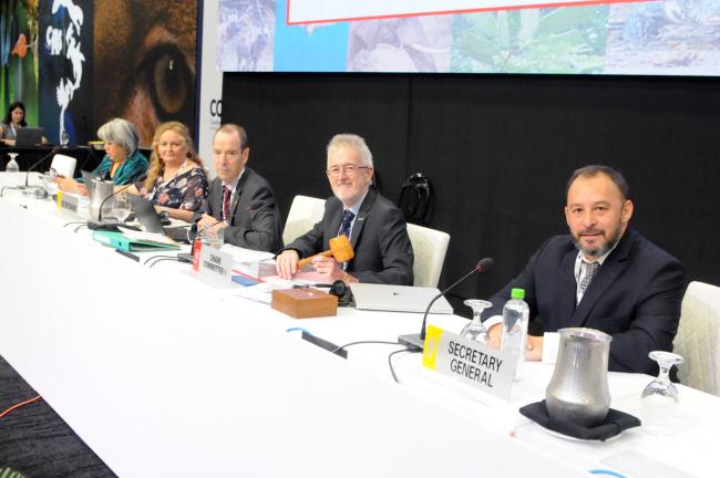 Committee I dais
