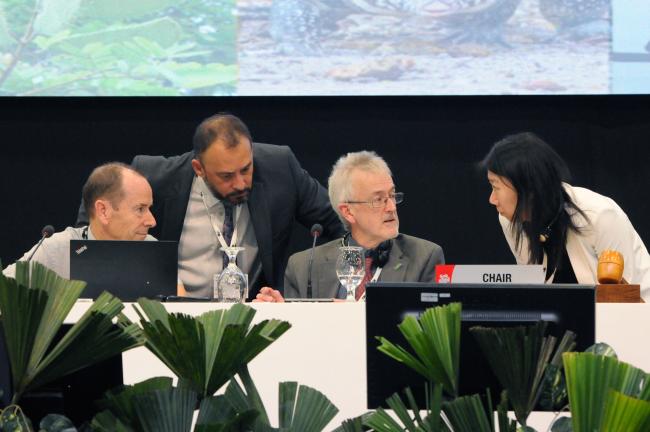 Committee I dais in discussions