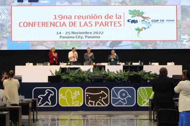 Participants congratulate Vincent Fleming, UK, Chair of Committee I