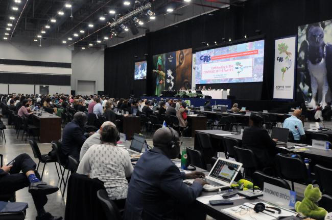 Delegates of Committee I during Tuesday's proceedings