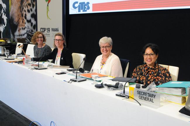 The dais of the Committee II get ready for Tuesday's proceedings
