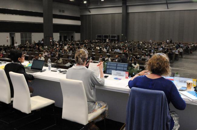 A view of the dais of Committee II