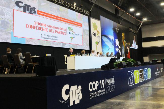 Committee II dais