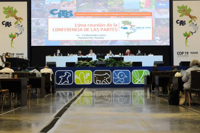 Committee II dais
