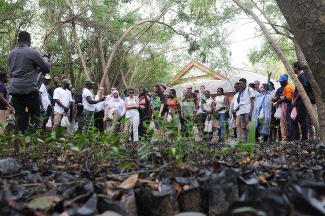 Participants learn about community mangrove restoration