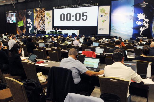 Pressure was put on delegates as Rhedyn Ollerenshaw, Australia, Chair of Committee II, decided to set a big counter to remind them to keep their interventions less than 2 minutes.