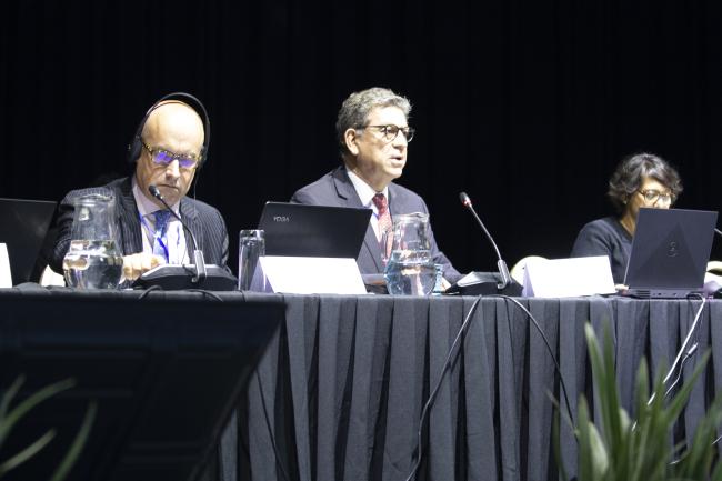 Dais Plenary View -INC-1-Plastic-28Nov-Photo