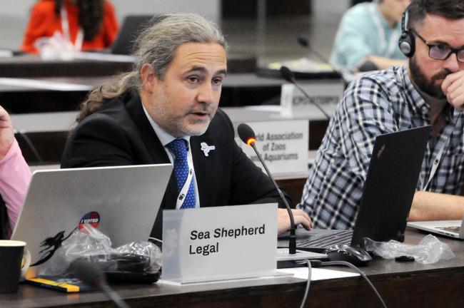 Daniel Kachelriess, Sea Shepherd Legal