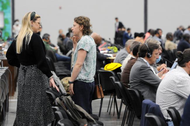 Delegates discuss during the Committee session