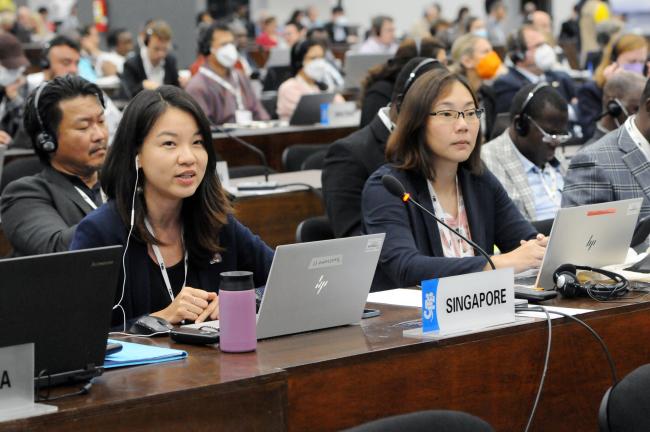 Delegates from Singapore