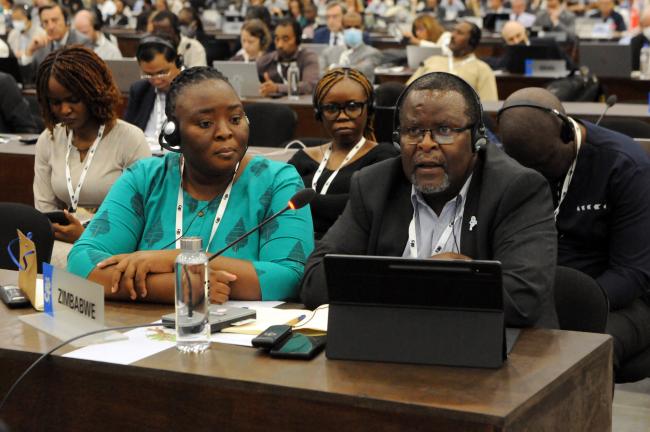 Delegates from Zimbabwe