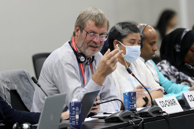 Peer Stiansen, Norway, Co-Facilitator for matters relating to Article 6