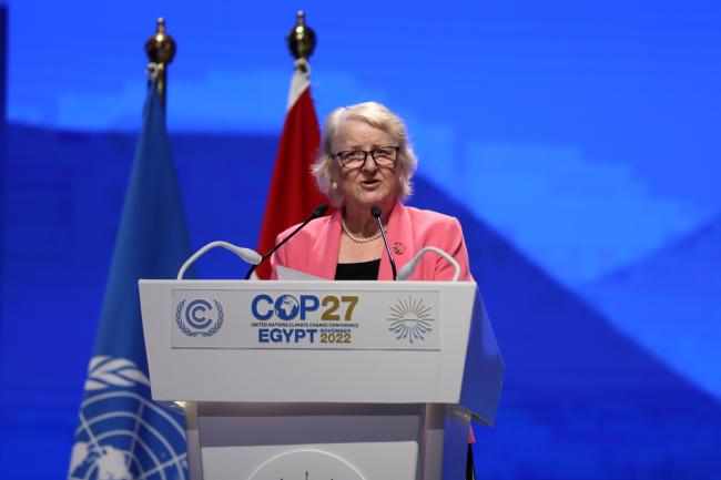 Jan Beagle, Director General, International Development Law Organization