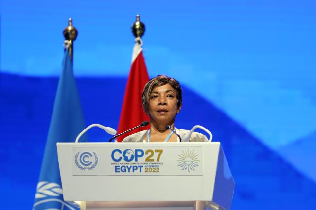 Sheam Satkuru, Executive Director, International Tropical Timber Organization
