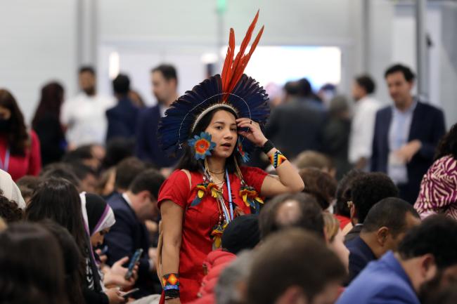 Brazil's vision in climate and environment