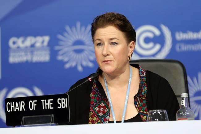  Marianne Karlsen, SBI Chair