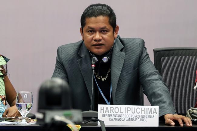 Harol Ipuchima, Representative of the Indigenous Peoples of Latin America and Caribbean