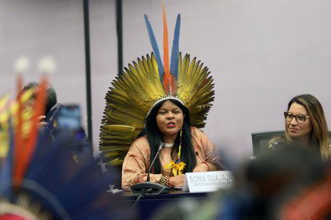 Sônia Guajajara, Federal Deputy, Sao Paulo, Brazil