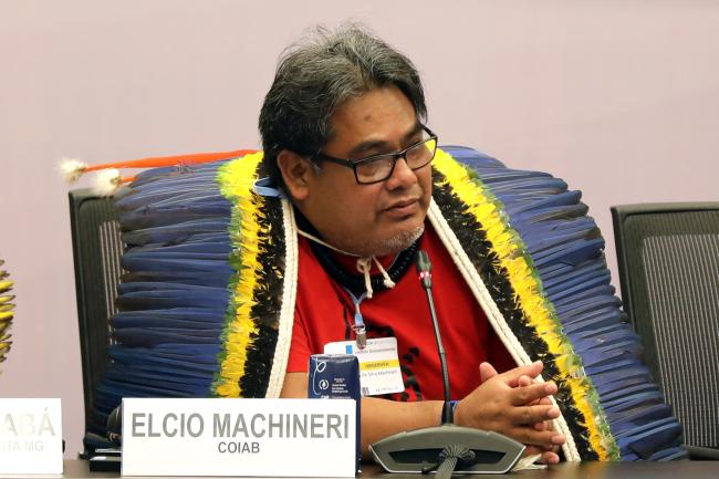 Elcio Machineri, Coordination of the Indigenous Organizations of the Brazilian Amazon