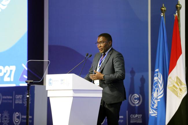 Selwin Charles Hart, Special Adviser to the UN Secretary-General on Climate Action and Just Transition
