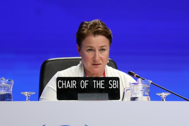 Marianne Karlsen, SBI Chair