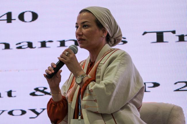Yasmine Fouad, Minister of Environment, Egypt