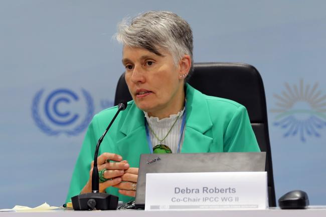 Debra Roberts, Co-Chair, IPCC WGII
