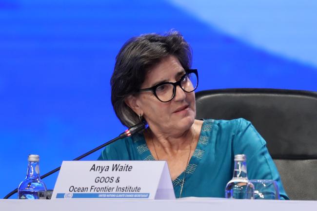 Anya Waite, Global Ocean Observing System and Ocean Frontier Institute
