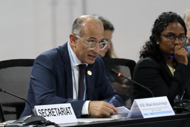 Wael Aboulmagd, Special Representative of the COP 27 President