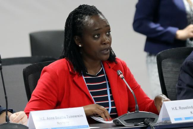 Roselinda Soipan Tuya, Cabinet Secretary for Environment and Forestry, Kenya