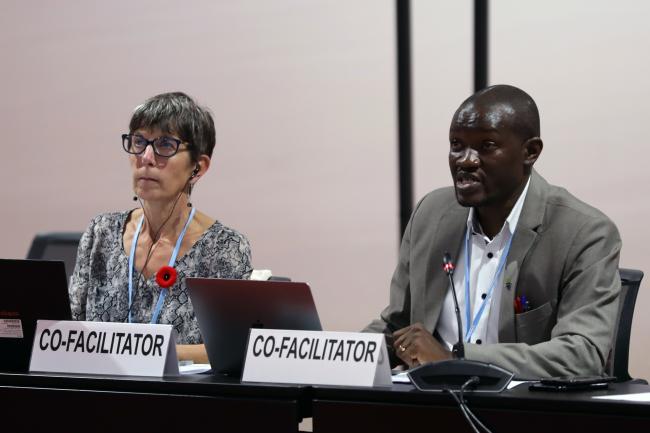 Elizabeth Bush, Canada, and Ladislaus Chang'a, Tanzania, Co-Facilitators for research and systematic observation
