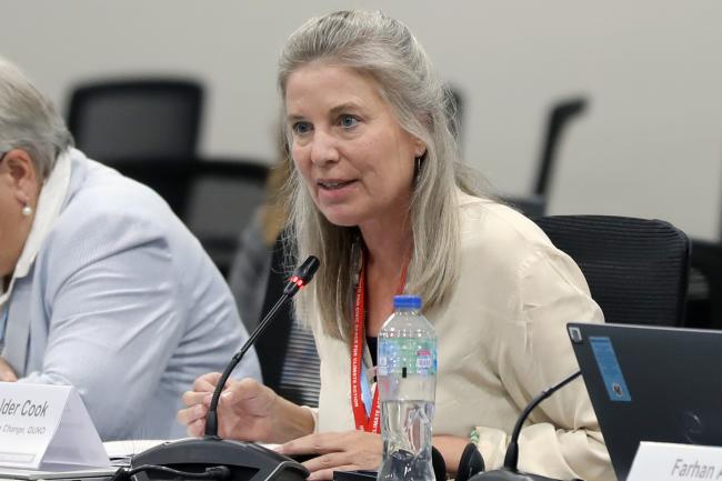 Lindsey Fielder Cook, Quaker United Nations Office