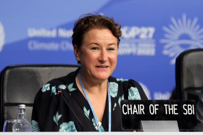 Marianne Karlsen, SBI Chair