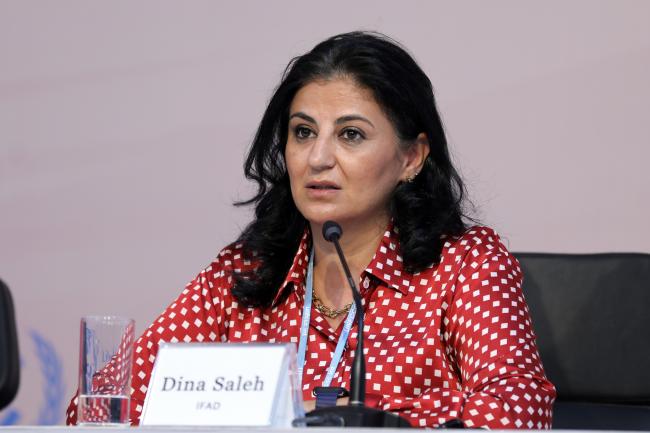 Dina Saleh, International Fund for Agricultural Development