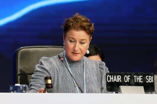   Marianne Karlsen, SBI Chair