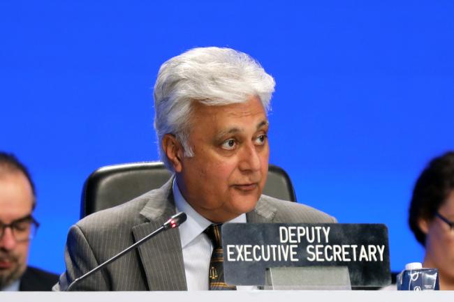Ovais Sarmad, UNFCCC Deputy Executive Secretary